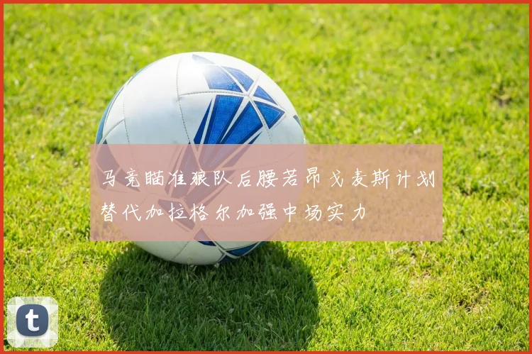 马竞瞄准狼队后腰若昂戈麦斯计划替代加拉格尔加强中场实力