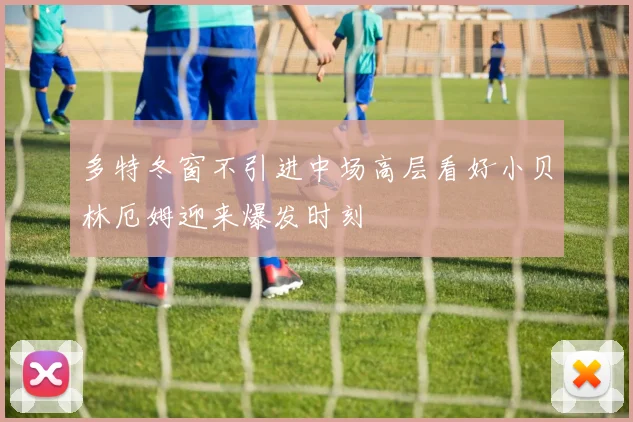 多特冬窗不引进中场高层看好小贝林厄姆迎来爆发时刻